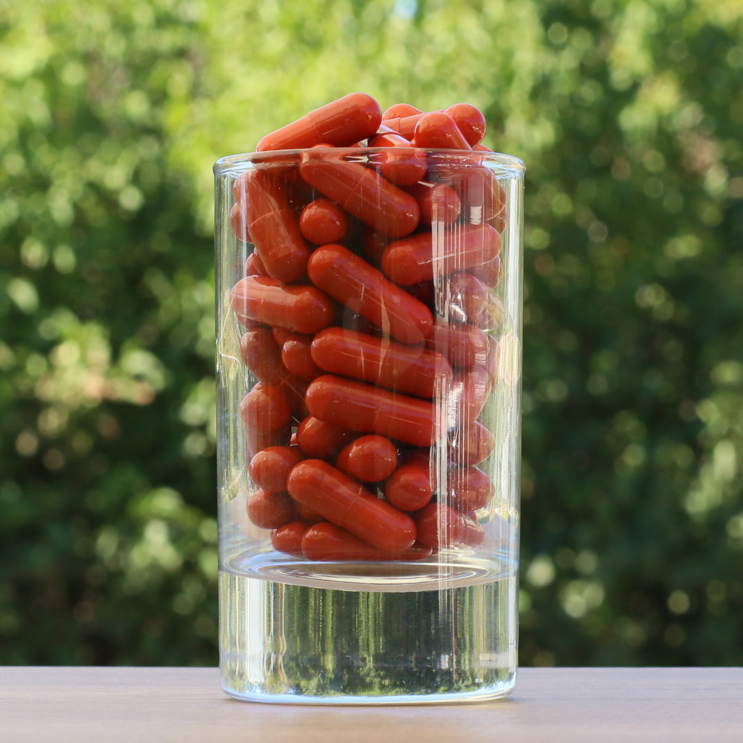 FEMNOX Matična mliječ + Inozitol + Folna kiselina + B12 kompleks • 90 kapsula