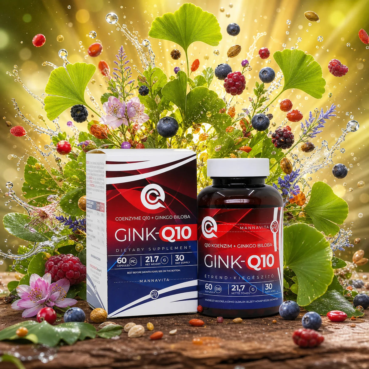 GINK-Q10 • Q10 koenzim + Ginkgo Biloba kompleks • 60 kapsula