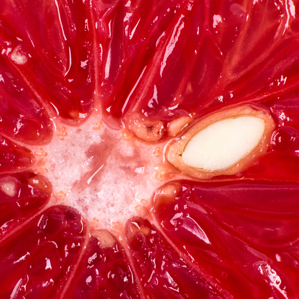 Mannavita kapi ekstrakta sjemenki grejpa • 100 ml