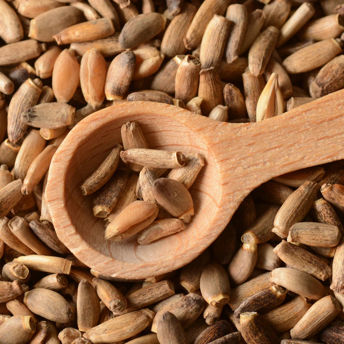 Mannavita Milk Thistle seed powder • 200 g - Mannavita