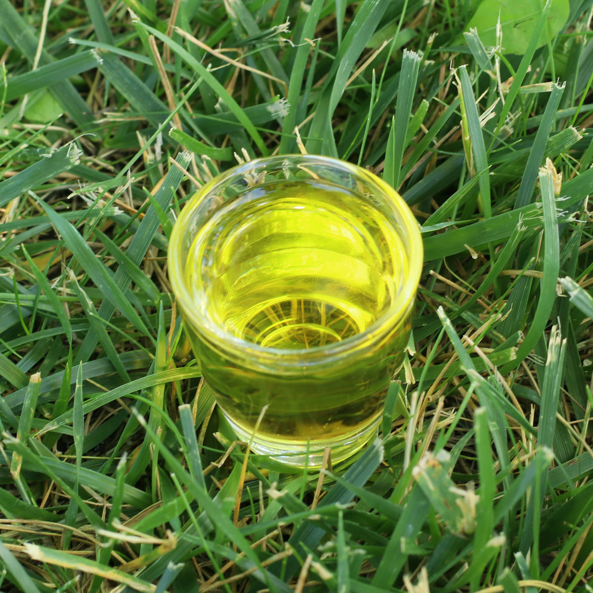 Mannavita mađarsko hladno prešano ulje sjemenki sikavice • 250 ml