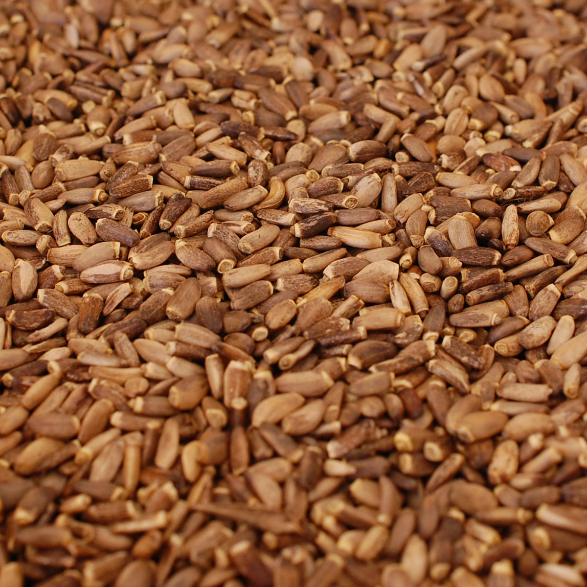 Mannavita mađarsko hladno prešano ulje sjemenki sikavice • 250 ml