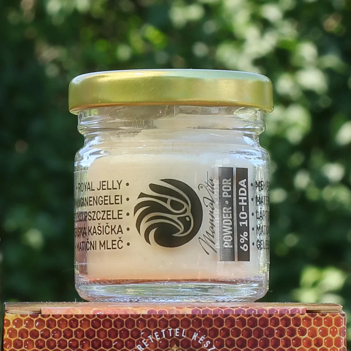 Concentrated Royal Jelly POWDER with 6% 10-HDA content • 20 g - Mannavita