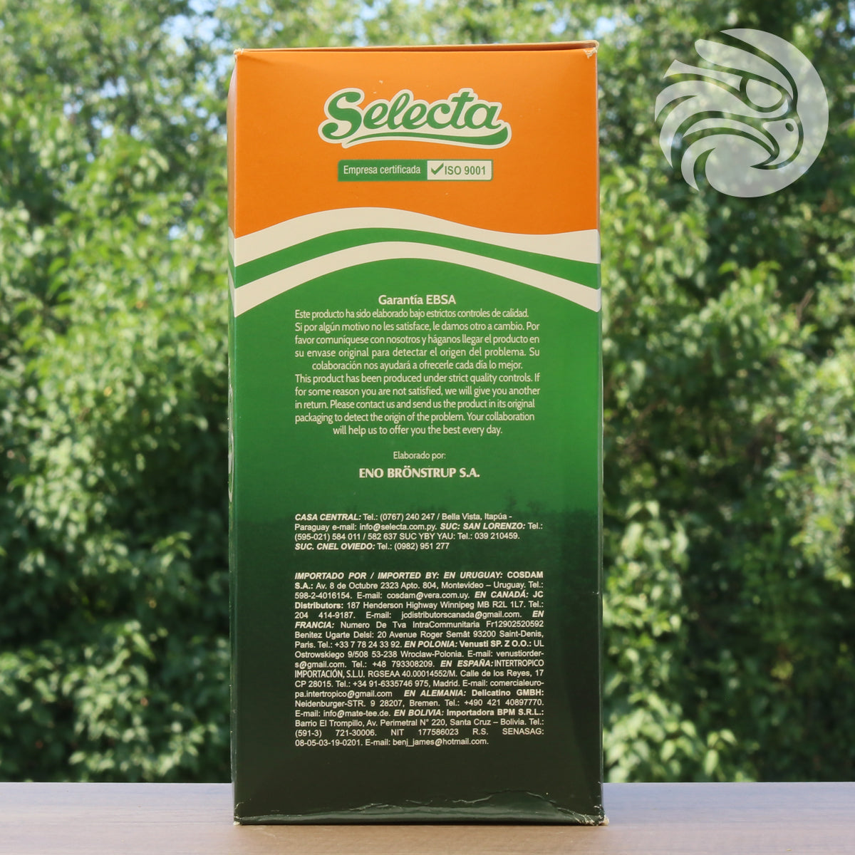 Selecta čaj od yerba mate • Boldo + menta • 500 g