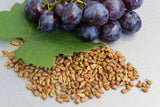 Viniseera prah od sjemenki grožđa • 250 g