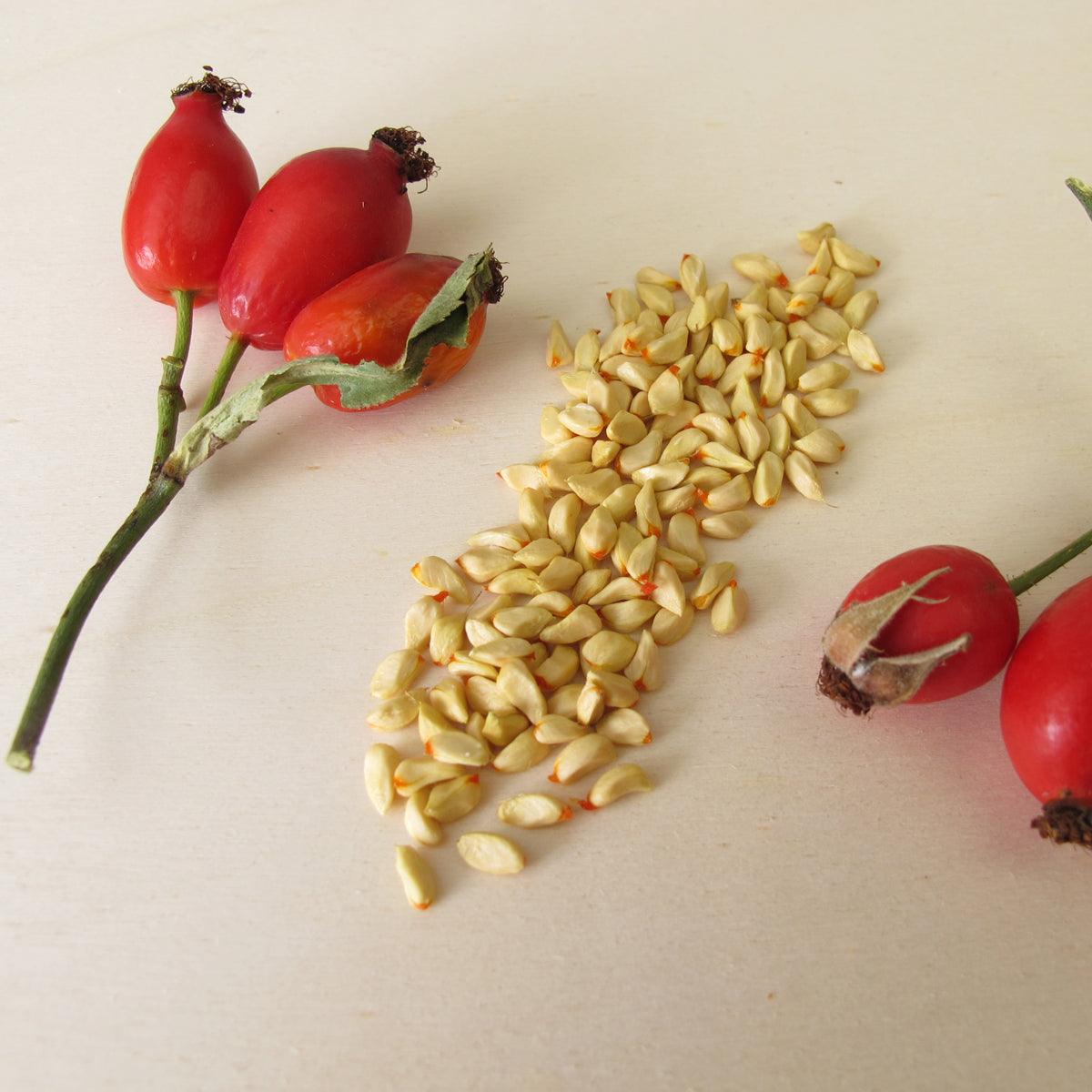 Mannavita mađarsko hladno prešano ulje sjemenki šipka • 40 ml