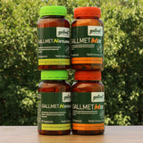 Gallmet Natural kapsule sa žučnim kiselinama • 60 kom.