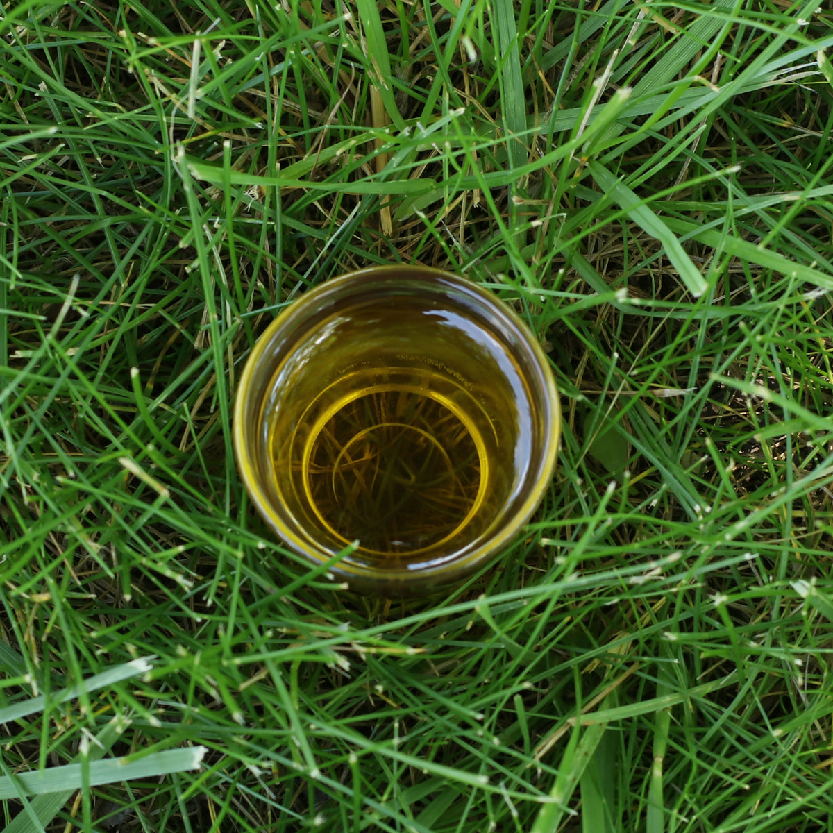 Mannavita mađarsko hladno prešano ulje od sjemenki grožđa • 250 ml