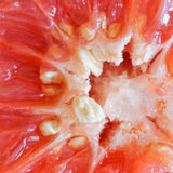 Mannavita kapi ekstrakta sjemenki grejpa • 100 ml