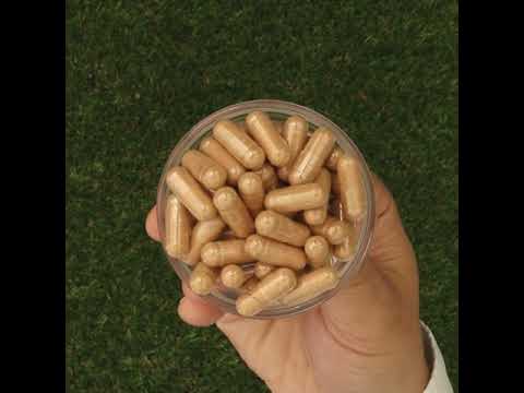 GINK-Q10 • Q10 koenzim + Ginkgo Biloba kompleks • 60 kapsula