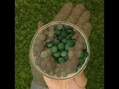 Mannavita Spirulina tablete 500 mg • 180 kom.