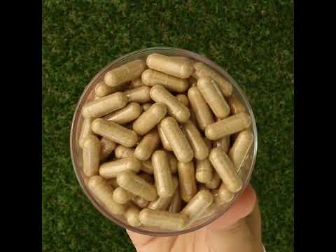 Ashwarax za ublažavanje anksioznosti, panike i nesanice • 90 kapsula