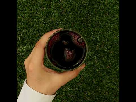 Mannavita • Sok od Brusnice, 100% cijeđeni čisti sok • 500 ml