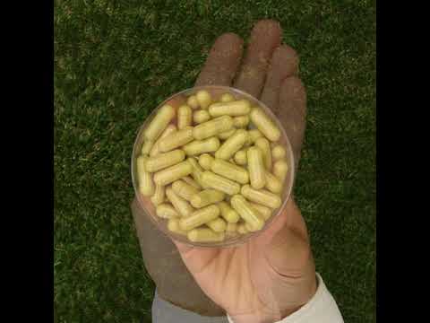 ENZIMA+ kompleks probavnih enzima s Betain HCL • 90 kapsula