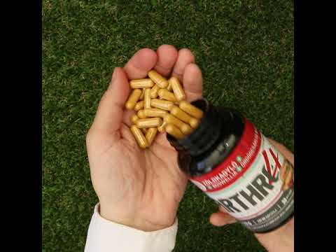 ARTHRO4 • Kompleks za zglobove i hrskavicu • s novozelandskom Zelenousnom školjkom • 120 kapsula