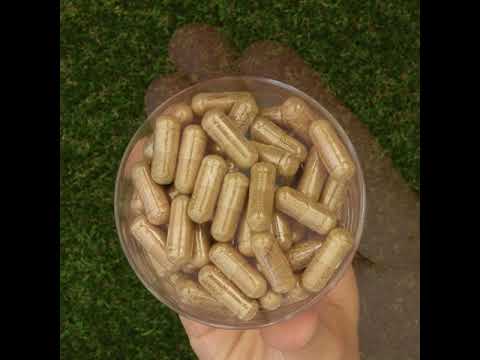 HEPADEX kompleks za regeneraciju jetre i poboljšanje zdravlja jetre • 60 kapsula