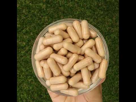 PrOcum kompleks za Jačanje Očiju • 60 kapsula