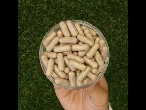 Mannavita kompleks Vitamina C • 250 mg bioaktivno • 60 kapsula