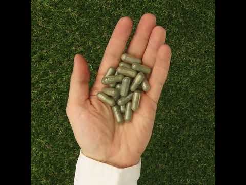 IMUNEX kompleks algi • s 5 algi • 180 kapsula