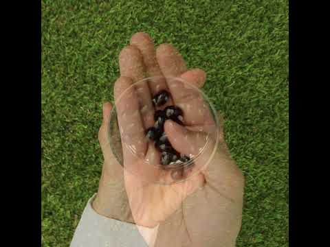 MegaKRILL 1500 mg ulje krila + riblje ulje • 90 kapsula