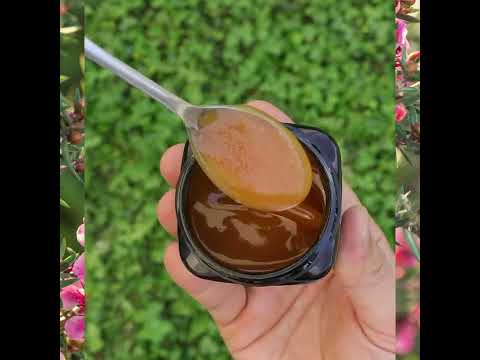 Melora Manuka med 100+ MGO™ UMF 5 • 250g