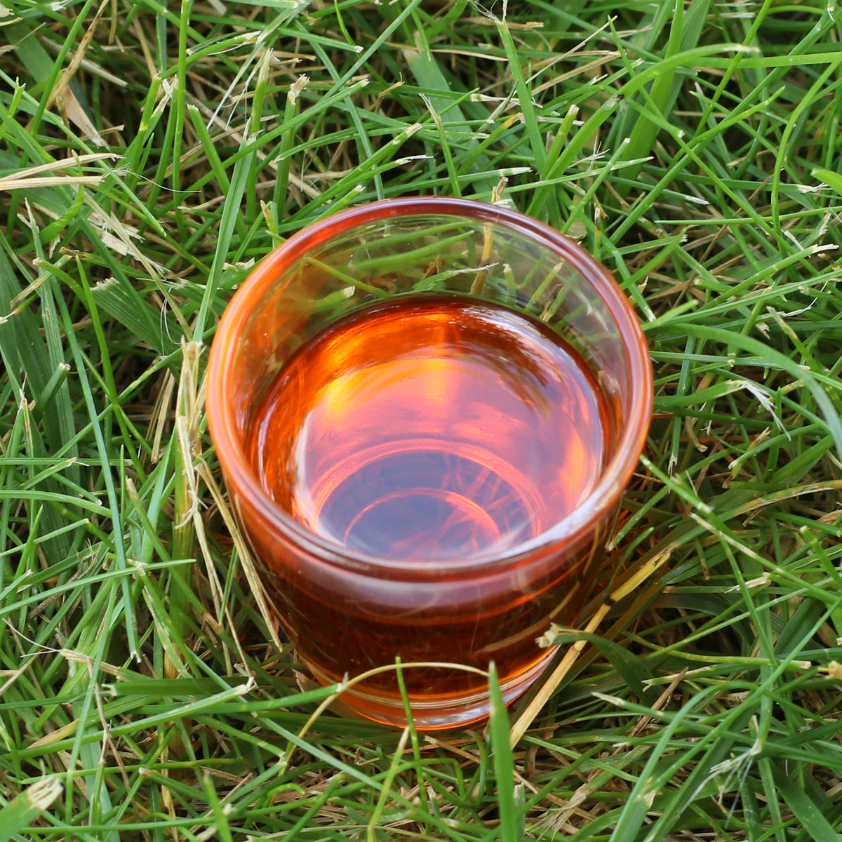 Mannavita mađarsko hladno prešano ulje sjemenki pasjeg trna • 40 ml